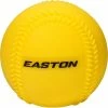 Silverstar-Sports Inc Easton Heavywight Training Ball- 3 Pack Balls